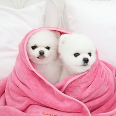 sosimtiger 寵物口袋毛巾, 粉紅色