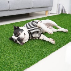 REDPUPPY 狗狗家用咖啡廳人造草皮, 單一顏色