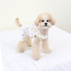 ITS DOG 果凍兔印花寵物衣服, 1個, 混色