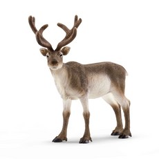 schleich 史萊奇 馴鹿 SL14837, 1個