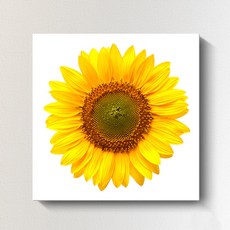 Zero Candle 單朵向日葵帆布畫, 黃色