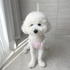 그루밍독 반려동물 로맨틱 프릴 레이스 나시, 핑크, 1개