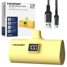 블라우풍트 LED 도킹형 고속충전 보조배터리 5000mAh, YELLOW, BLP-PB615Y