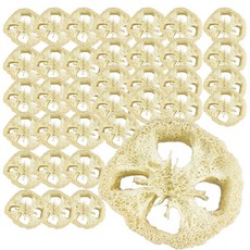 펫츠핸들러 친환경 수세미 칩 앵무새 장난감 LP-250 6p, 혼합색상, 6개