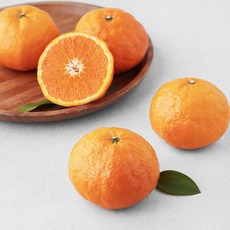 블랙홀 고당도 13.5brix 카라향, 1.4kg(대과, 4~7입), 1개