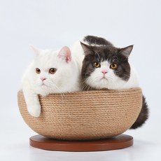 요기쏘 고양이 반영구 스크래쳐 하우스, 1개