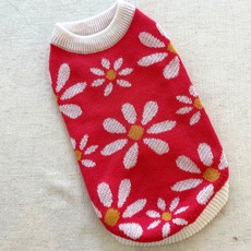 Kkaniswi小雛菊印花狗狗針織衫, 葡萄柚色