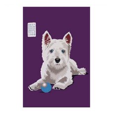 Otticheureuseu羊毛織布茶巾 小白, 混色, 1個