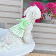 Chilsi 狗狗蝴蝶結洋裝, 綠色