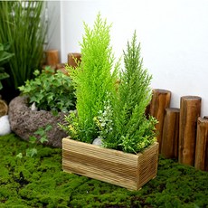 Garden in the City 尤爾瑪花壇, 混色