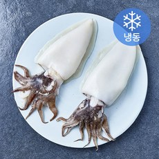 신선작 손질 갑오징어 2마리 (냉동), 1개, 500g