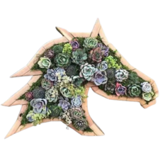 Every Step 動物造型多肉植物花盆 馬, 單一顏色, 1個