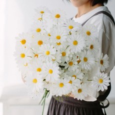 Minsung Company 人造雛菊 10入, 白色