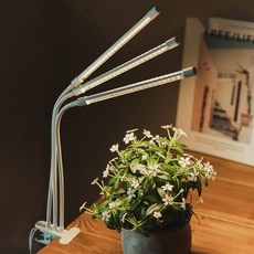 Brui LED 條形植物燈 植物燈泡照明 生長燈 生長燈 生長燈 照明 栽培燈 白色 3燈泡, 3個白球