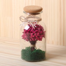 ROMANTIC NOVEMBER 乾燥花滿天星透明瓶 500ml, 紅粉色