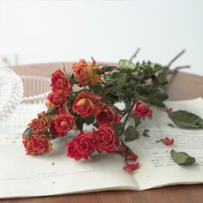 GAPANG 人造乾燥花 35 x 3 cm, 17號 紅色