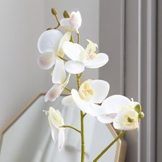 플라워트리 조화 호접란 8송이 꽃가지, 화이트, 1개