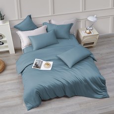 J-bedtime 床寢時光 60支奧地利蘭精100%純天絲舖棉床包3件組 SW5559S