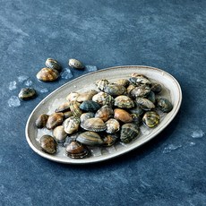 국내산 산지직송 참바지락 (냉장), 1개, 1kg