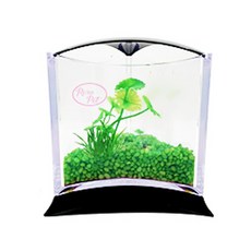 Rora Pet 三角魚缸+人造水草隨機出貨套組, 常綠