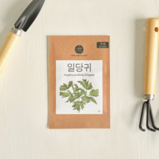 프레시가든 민속 채소씨앗 일당귀, 단품, 1개