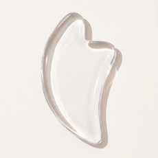 데이바이딥 전신 두피 페이스 경락 괄사 마사지기, 투명, 1개