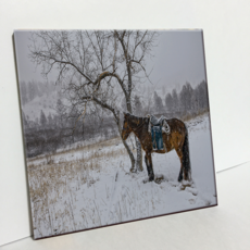 HTP 磁磚 蒙古馬 C1712, 1個