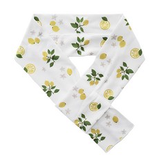 Assist stream 清涼巾, 1個, 夏日檸檬