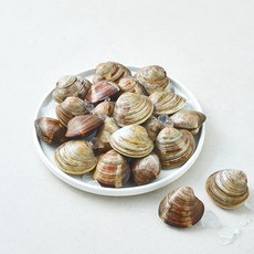 바다림 중국산 생물 백생합 조개, 1개, 800g