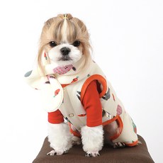 寵物胡蘿蔔鋪棉連身衣, MIX