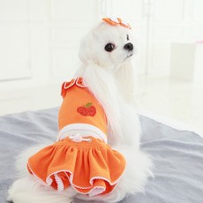 Revery 寵物夏日蘋果比基尼套組, 橘色, 1個