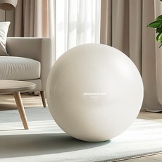 스케쳐스 고중량 안티버스트 짐볼 1.1kg, 애쉬 그레이