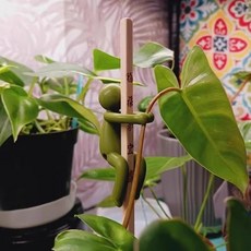 루벤코 미니 인테리어 장식품 식물 지지대 초록색, 1개