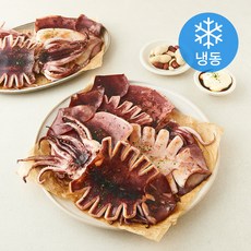 온다미 반건조 오징어 10미 (냉동), 1개, 1.1kg