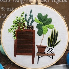 植物室內裝飾DIY 20公分, 1個, 05