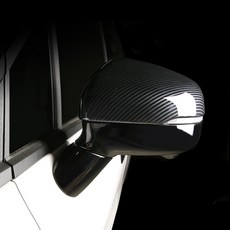 DK 사이드 미러 몰딩 카본 2p, 카본2p