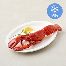 자숙랍스터 (냉동), 1개, 400g