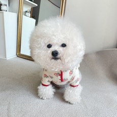 바이담수미 강아지 따숩 플라워 후리스 아노락 티셔츠, 아이보리, 1개