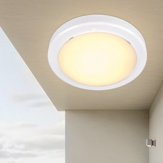 원하 EL 유백 원형 직부등 플리커프리 LED 15W, 화이트 + 전구색, 1개