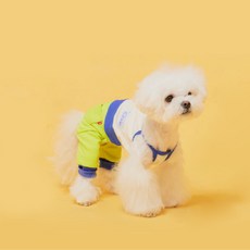 Flot 狗狗餅乾束口褲, 黃藍色, 1個