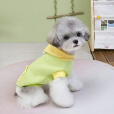 파스텔펫 반려동물 턱시도 디노 후드티셔츠, 그린, 1개