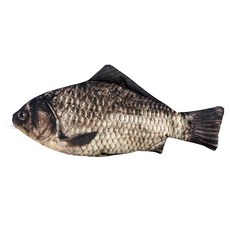 아트조이 업그레이드 리얼 생선 필통, 02 붕어 내장버전, 1개