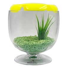 Rora Pet Most Pet酒紅色水族箱, 蘋果綠