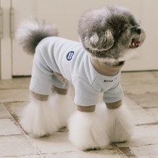 펫츠랜드 강아지 버터 소프트 올인원, 스카이블루, 1개