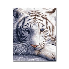 ADICO DIY 寶石十字繡 白虎 40 x 50 cm BEE07, 混合顏色, 1個