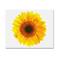 向日葵畫 DIY油畫套組 金色向日葵, 混色