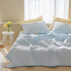 ARPEGGIO BASIC 柔滑超細纖維水洗薄被, 羞澀天空