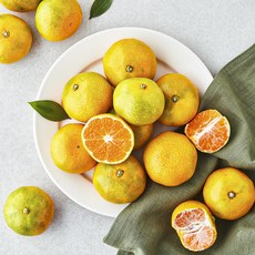 제이드가든 당도선별 10brix 감귤, 1.2kg, 1개