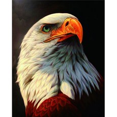 Alodae 敏捷老鷹 興趣裝飾 鑽石畫 DIY 套組 方形 40 x 50 cm, NO 03