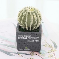 도시정원 조화 미니 다육이 소품, A형, 1개